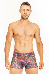 SwimBoxer Bohemian Art