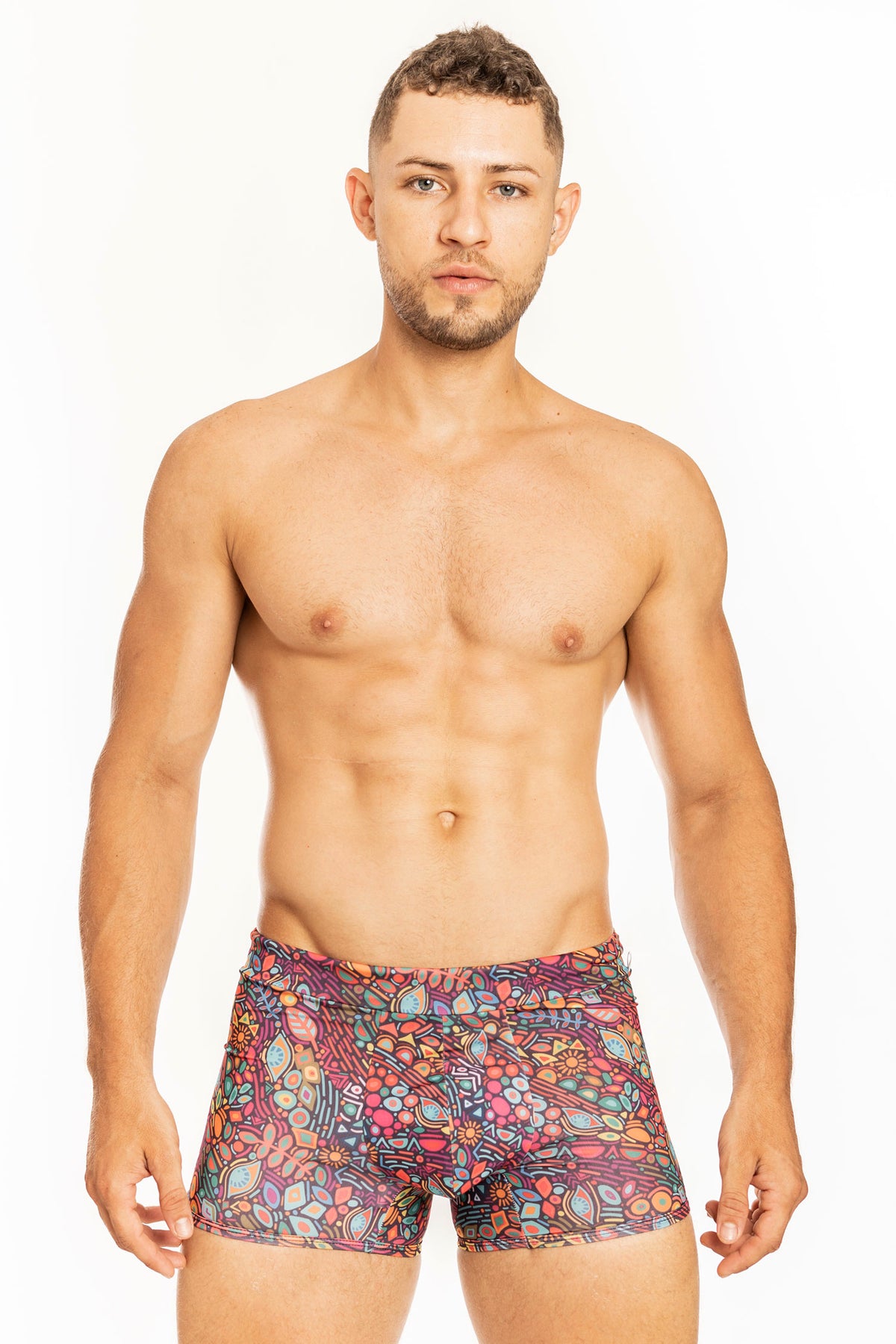 SwimBoxer Bohemian Art