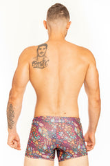 SwimBoxer Bohemian Art